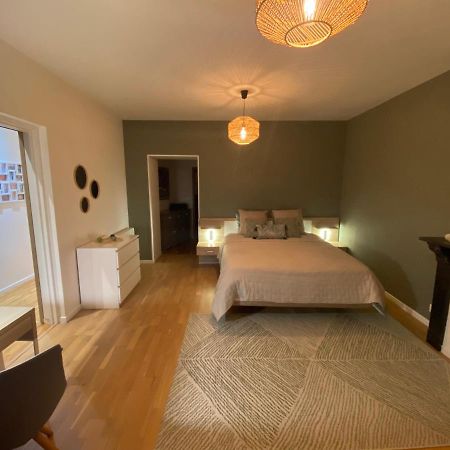 Le Gonzague, Appartement Hyper-Centre Tout Confort. Шарлевіль-Мезьєр Екстер'єр фото