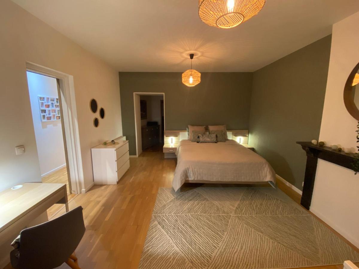 Le Gonzague, Appartement Hyper-Centre Tout Confort. Шарлевіль-Мезьєр Екстер'єр фото